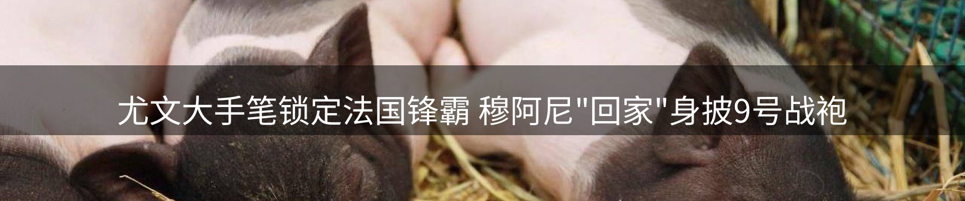 内页banner