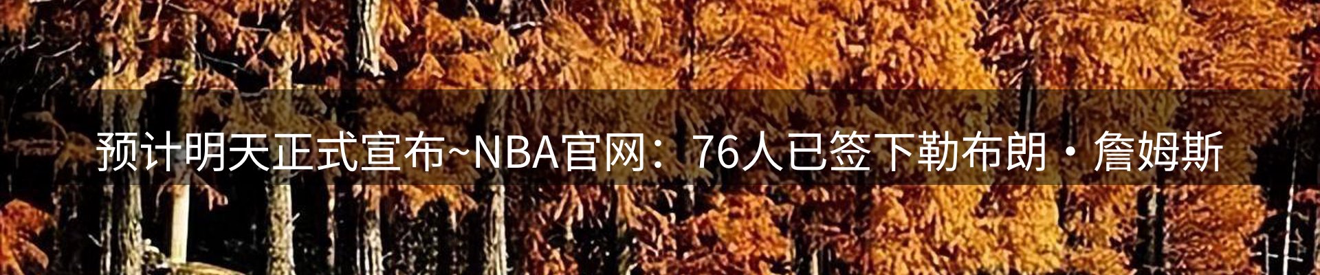 内页banner